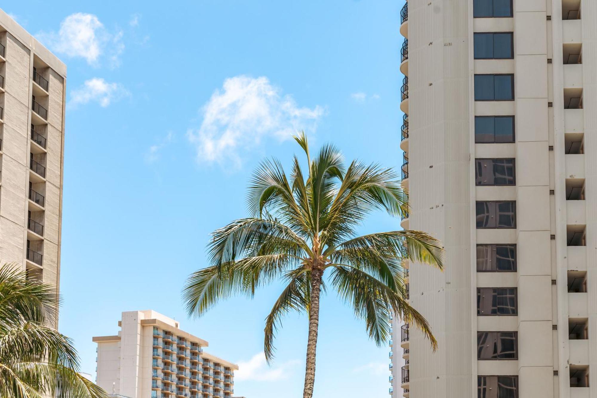 Beautiful 1Br, Steps To Waikiki Beach And Parking Honolulu Dış mekan fotoğraf