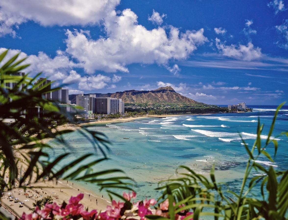 Beautiful 1Br, Steps To Waikiki Beach And Parking Honolulu Dış mekan fotoğraf